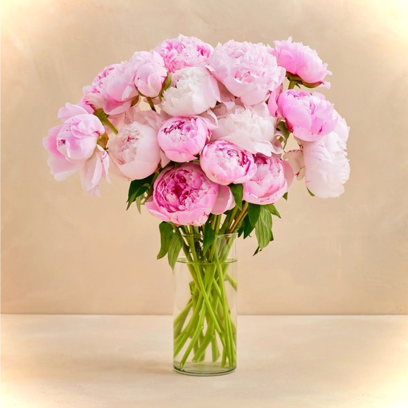 peonie1990